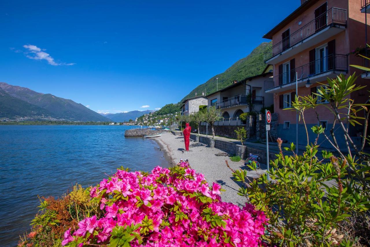 Residenza La Serenata - Happy Rentals Cavigliano Exterior photo
